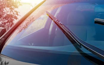 Man inspecting a car windshield